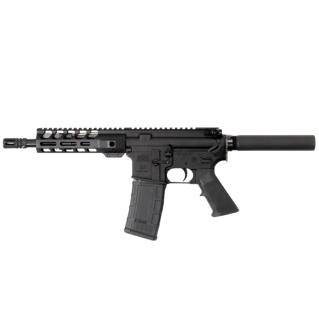 PALMETTO STATE ARMORY PA-15